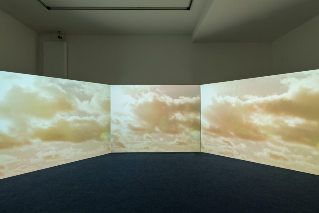 Michelle Dizon: Civil Society. Photo © Edith-Russ-Haus