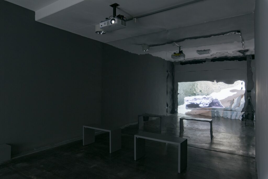 Shirin Sabahi: Borrowed Scenery. Photo © Edith-Russ-Haus