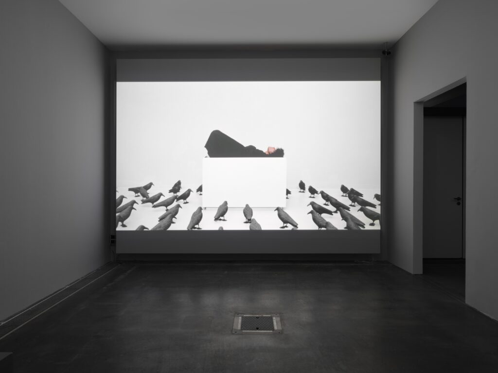 Silvia Martes: To Confirm You Are Not a Robot, Place a Check in the Box Next to Im Not a Robot. Photo © Edith-Russ-Haus 2022