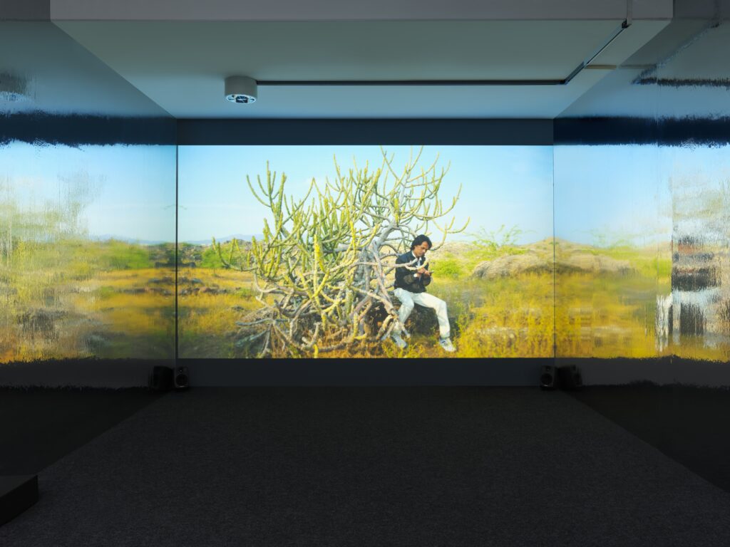 Mochu: Cool Memories Of Remote Gods. Photo © Edith-Russ-Haus