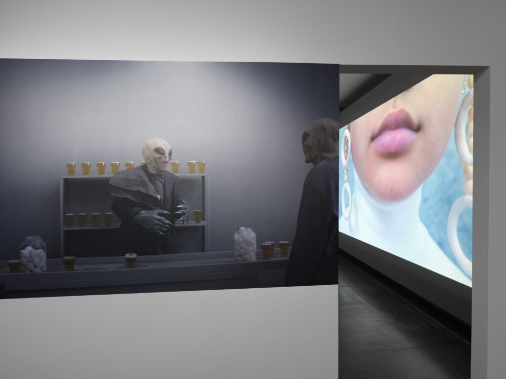 Silvia Martes: To Confirm You Are Not a Robot, Place a Check in the Box Next to Im Not a Robot. Photo © Edith-Russ-Haus 2022