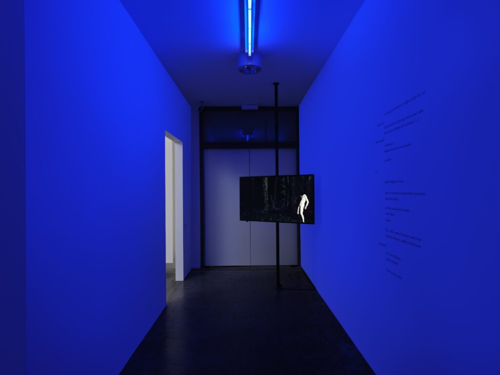 James Newitt: To Attempt to Become Other, Secretly or Not. Photo © Edith-Russ-Haus 2023