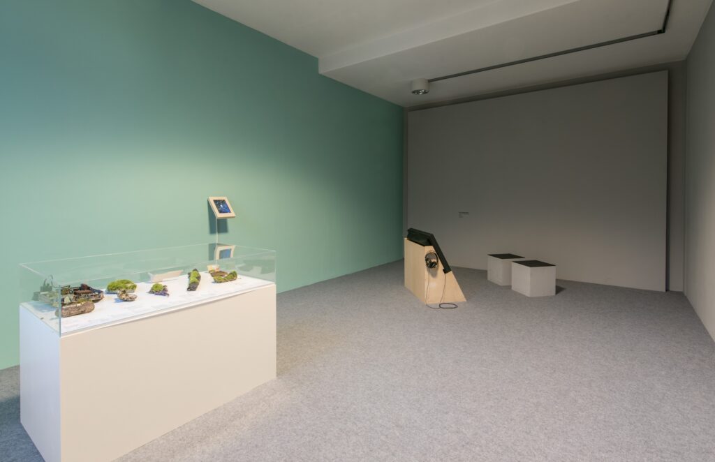 Ausstellungsansicht Denn hinter diesem Horizont liegt ein weiterer Horizont. Foto © Edith-Russ-Haus