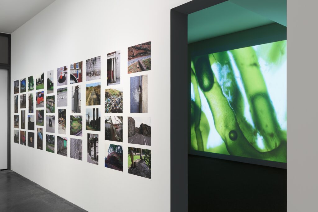 Ausstellungsansicht Marjolijn Dijkman: Shifting Axis. Foto © Edith-Russ-Haus