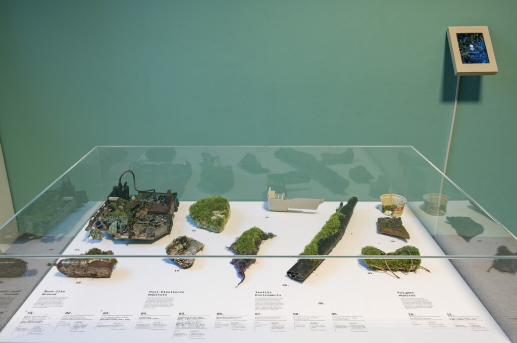 Diana Lelonek: The Center for the Living Things. Foto © Edith-Russ-Haus