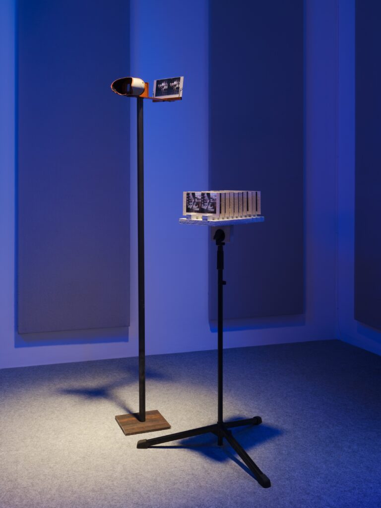 Ausstellungsansicht Rana Hamadeh: Standard_Deviation II. Foto © Edith-Russ-Haus