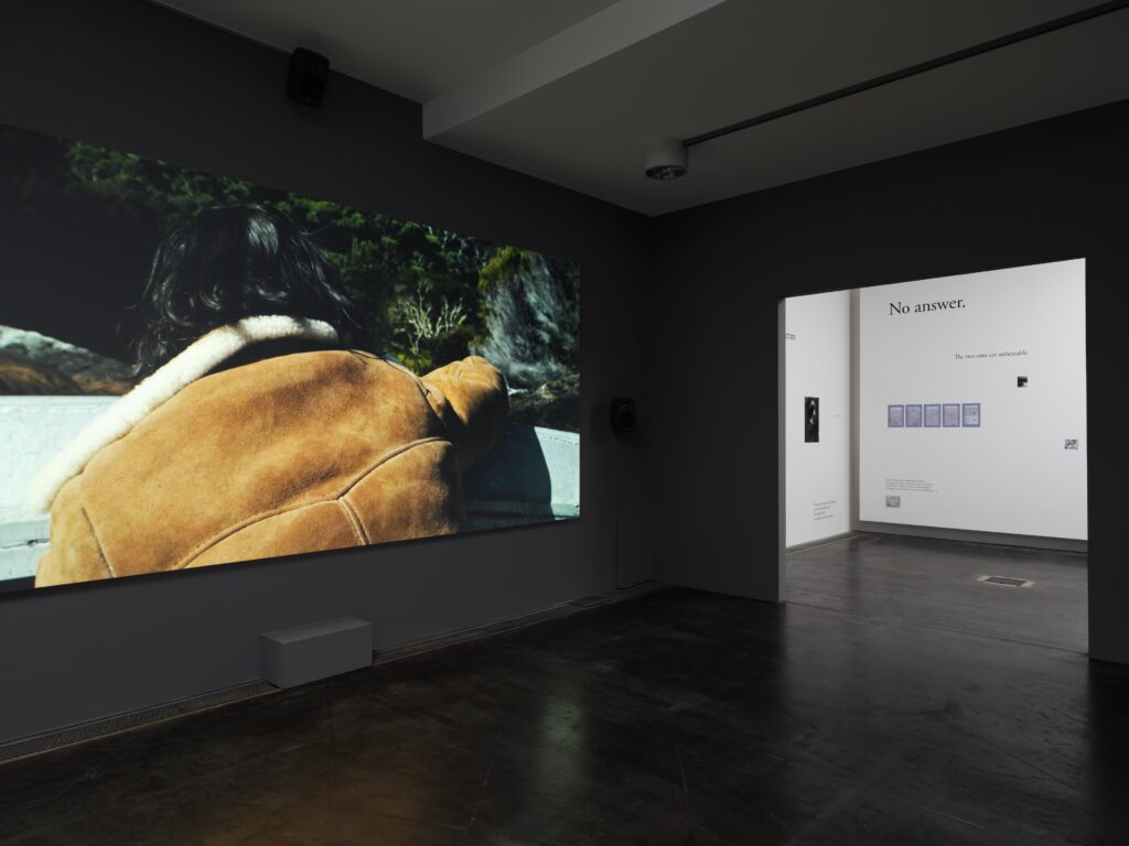 James Newitt: I Go Further Under. Photo © Edith-Russ-Haus 2023