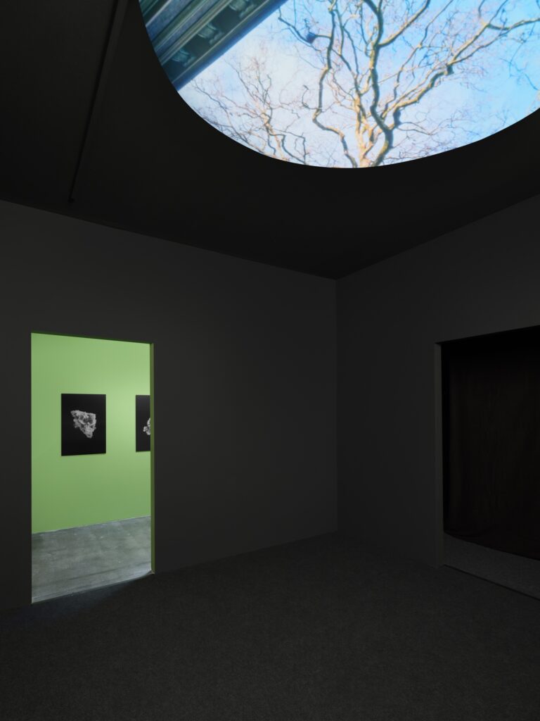 Kaensan Rattanasomrerk: Eye Contact II & Heavy Metal. Photo © Haus für Medienkunst 2025