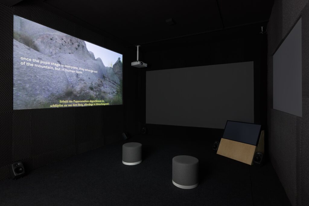 Mochu: Toy Volcano. Photo © Edith-Russ-Haus