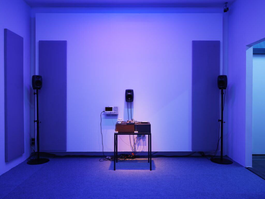 Ausstellungsansicht Rana Hamadeh: Standard_Deviation II. Foto © Edith-Russ-Haus