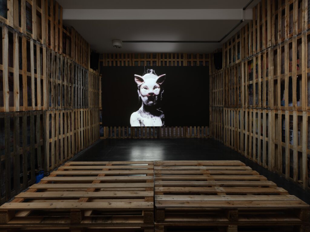 Eoghan Ryan: A Sod State. Photo © Edith-Russ-Haus 2024