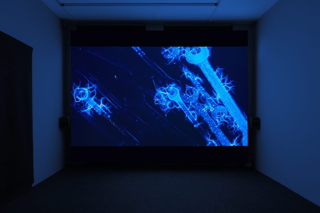 Marjolijn Dijkman: Depth of Discharge. Foto © Edith-Russ-Haus