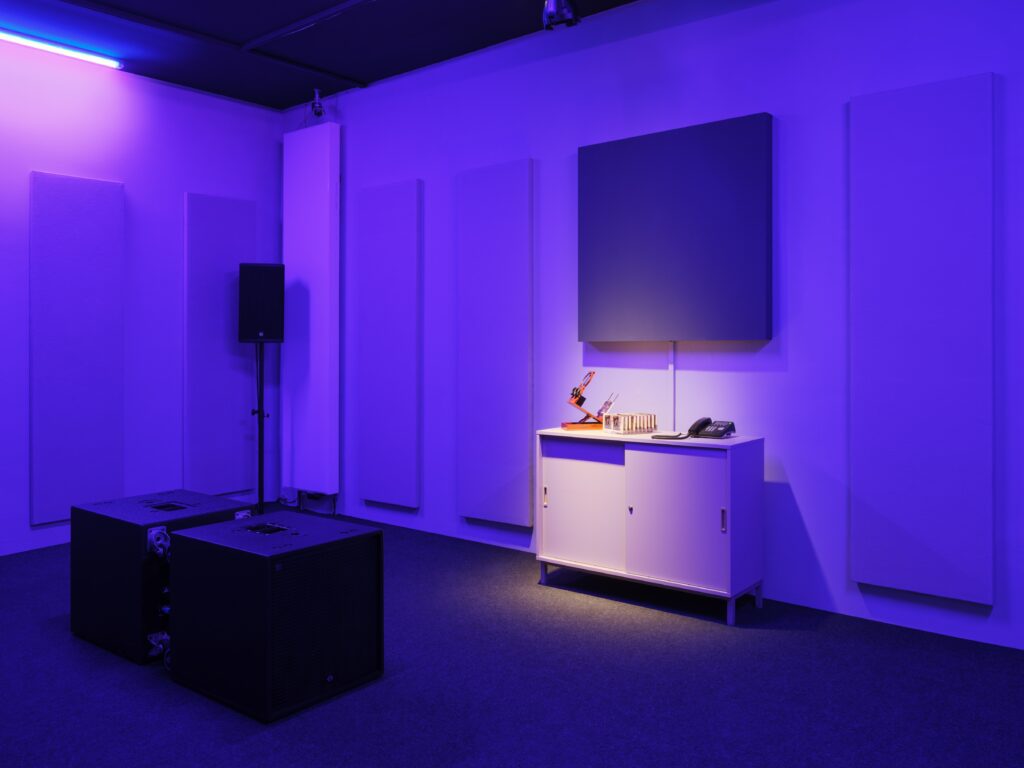 Ausstellungsansicht Rana Hamadeh: Standard_Deviation II. Foto © Edith-Russ-Haus