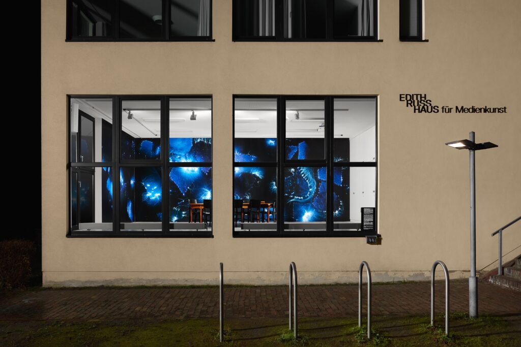 Marjolijn Dijkman: Surviving New Land. Foto © Edith-Russ-Haus