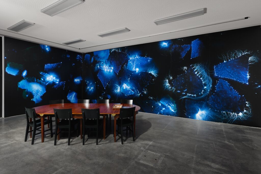 Ausstellungsansicht Marjolijn Dijkman: Shifting Axis. Foto © Edith-Russ-Haus