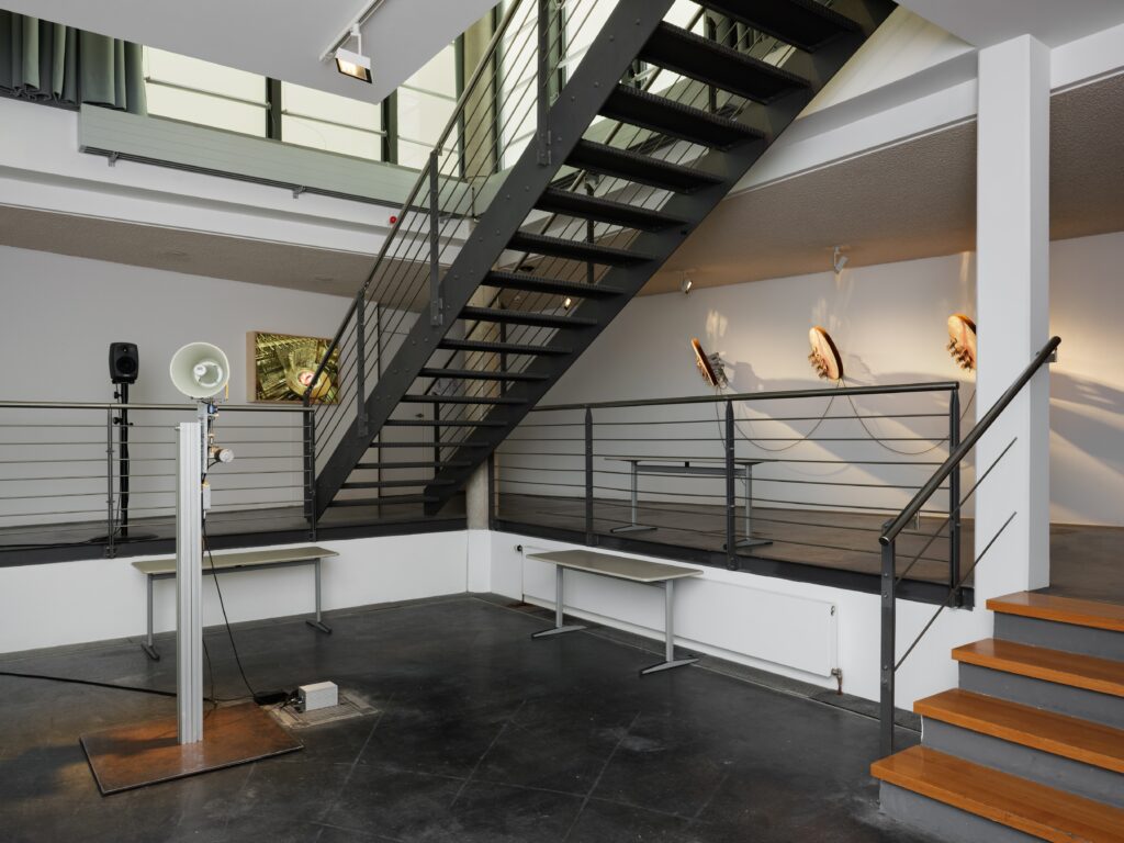 Ausstellungsansicht Rana Hamadeh: Standard_Deviation II. Foto © Edith-Russ-Haus