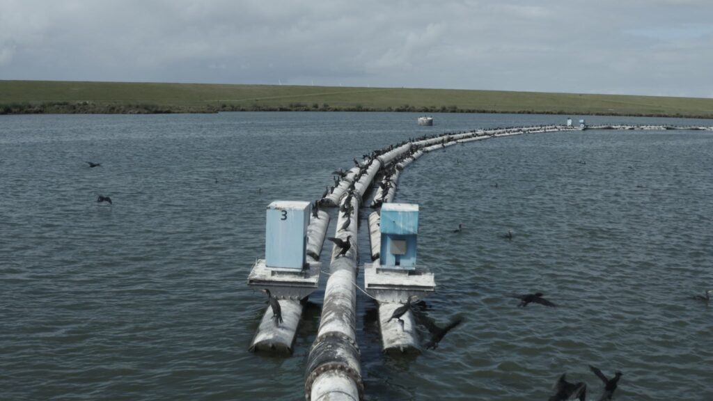 Hollow, Videostill © Tanja Engelberts 2019